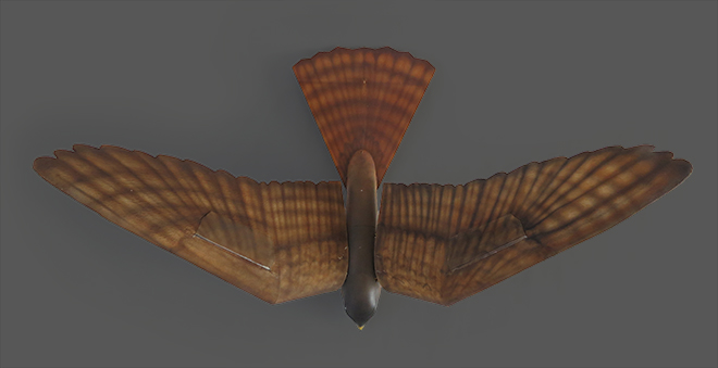 Robird top view