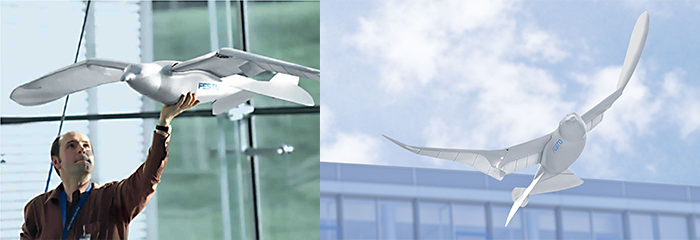 Smartbird Ornithopter