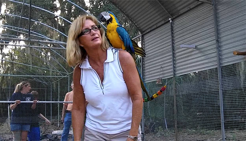 Debbie Huckaby and the Troy Parrots