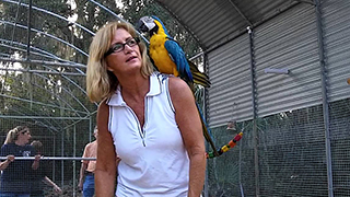Debbie Huckaby with rescued Ohio parrots