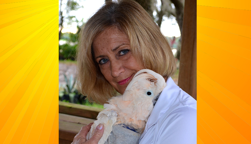 Happy Mothers Day from Birds of Paradise