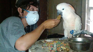 Ohio Emergency Rescue - Abandoned Parrots