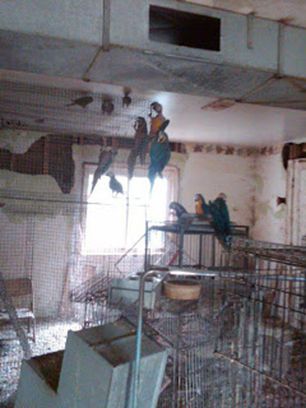 Troy Pennsylvania Rescue