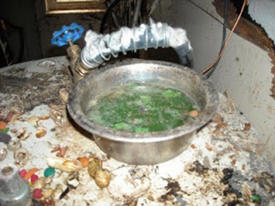 Troy Pennsylvania Rescue