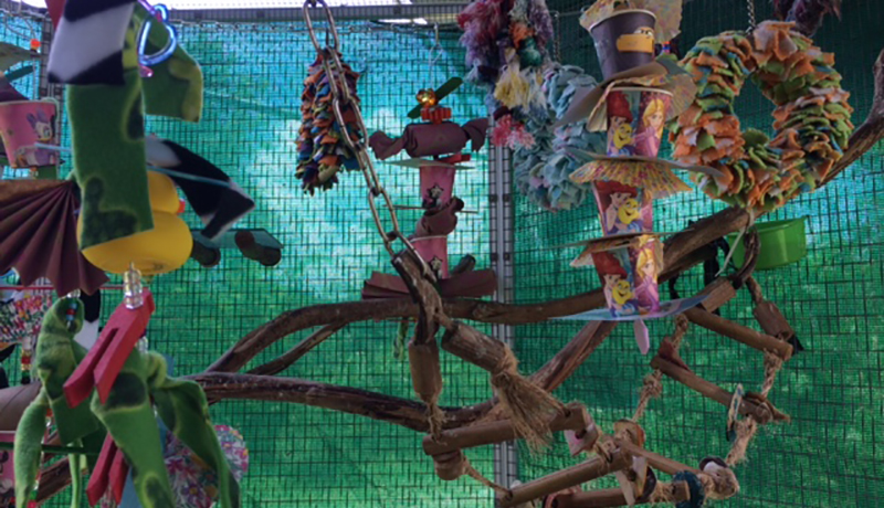 Sanctuary Stories - A Toy Artiste Journey