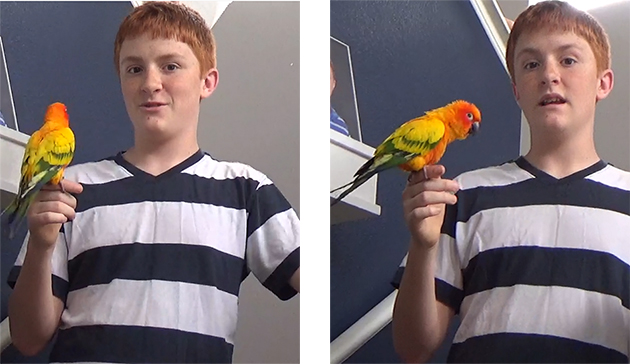 Constant Companions Wyatt and Skittles