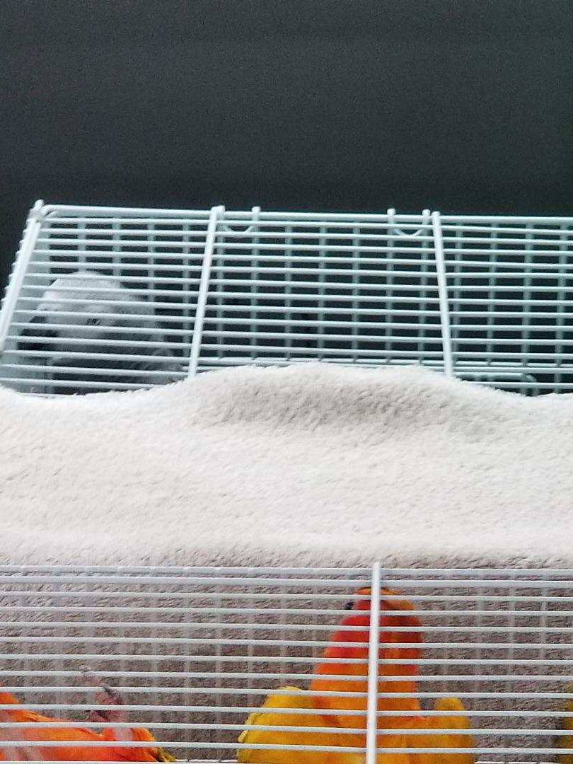 Stage 2 - Transport